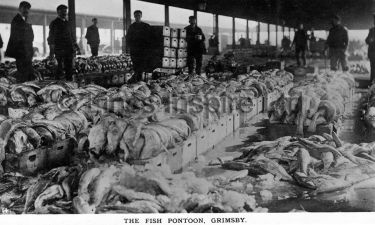 Fish Market on Pontoon