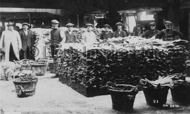 Dried Salt Fish