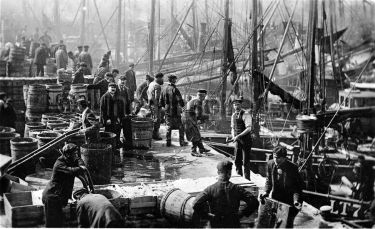 Unloading Herring Catch