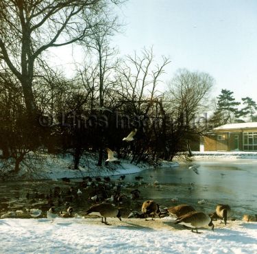 Peoples Park in Winter