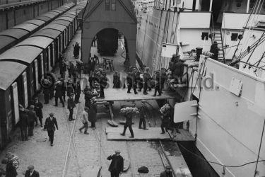 Unloading bananas