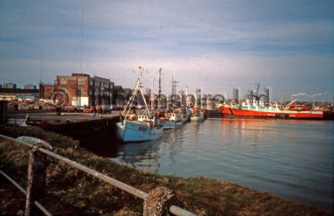 Across the Fish Docks