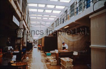 Fish Dock Pontoon Interior