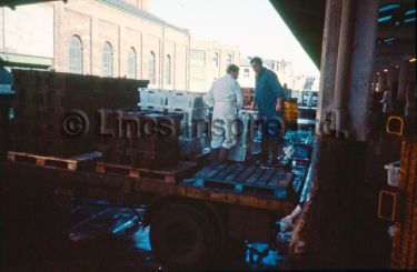 Fish Market Lorries