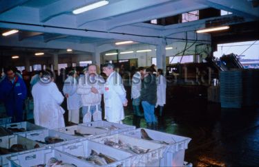 Fish Market