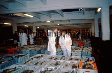 Fish Market
