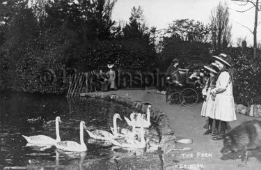 People's Park Swans