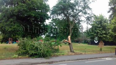 Ainslie Street Storm Damage