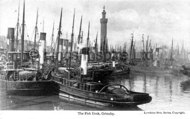 Fish Docks Postcard