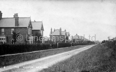 The Avenue, Healing
