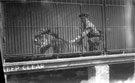 Lions and Tamer