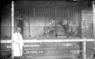 Lions and Tamer