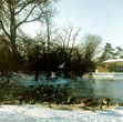 Peoples Park in Winter