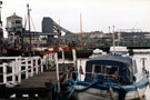 Alexandra Dock and Bridge