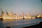 Royal Dock Minesweepers