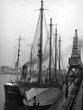 Royal Dock Schooner