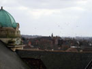 Cinema Rooftop View