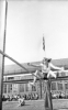 Nunsthorpe Negative 3