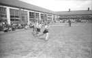 Nunsthorpe Negative 9