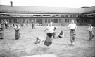 Nunsthorpe Negative 15
