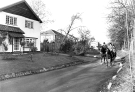 Main Road