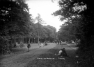 Bradley Woods Visitors