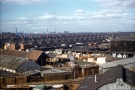 West Marsh 1962