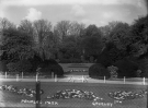 Peoples Park Flowerbeds