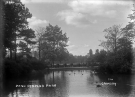 Peoples Park Pond